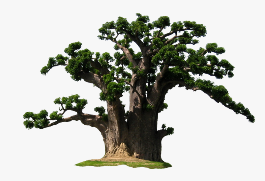Detail Tree Size Download Nomer 40