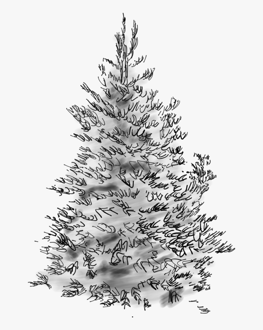 Detail Tree Sketch Png Nomer 32