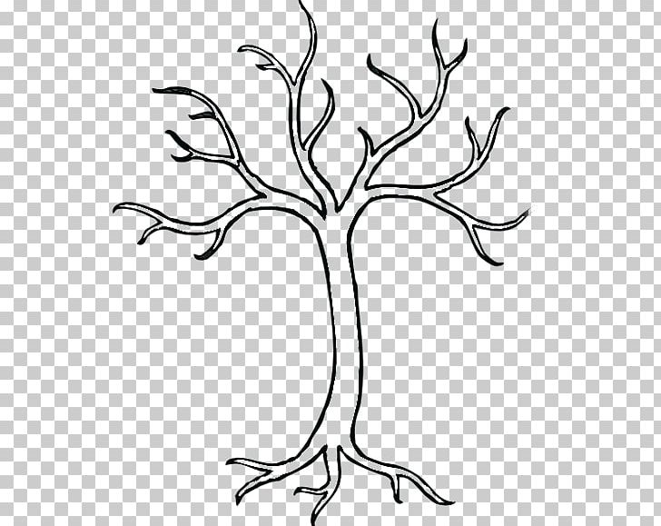 Detail Tree Sketch Png Nomer 39