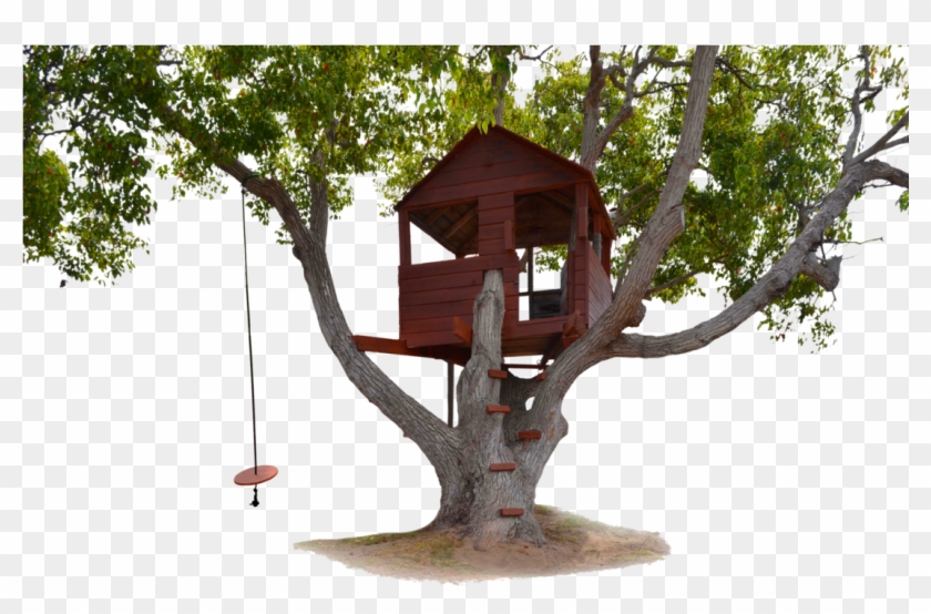 Detail Tree Swing Png Nomer 32