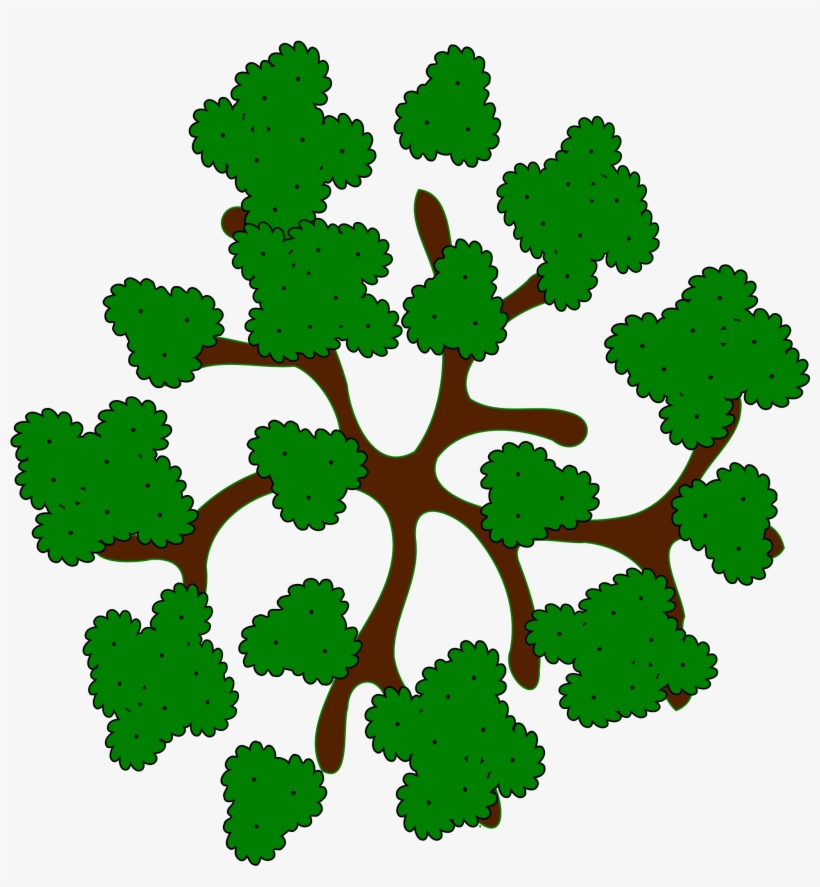 Detail Tree Top View Nomer 56