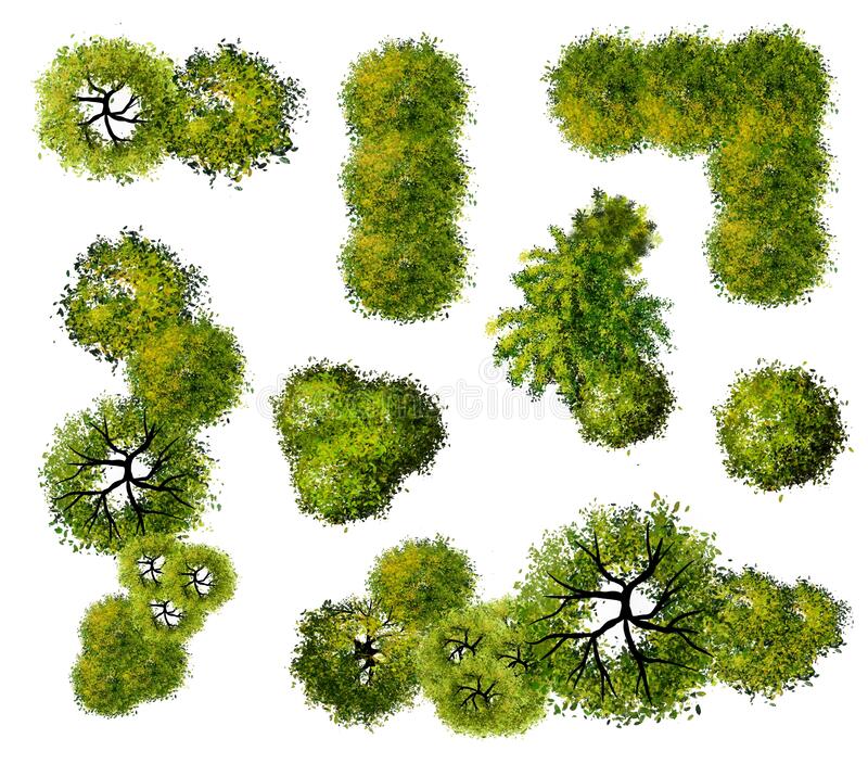 Detail Tree Top View Illustration Nomer 45