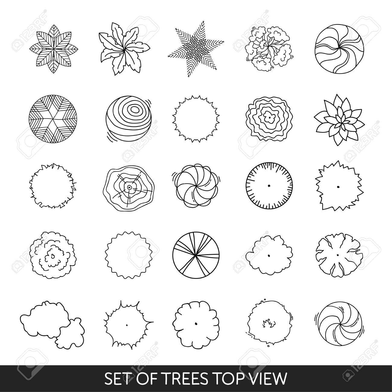 Detail Tree Top View Illustration Nomer 58