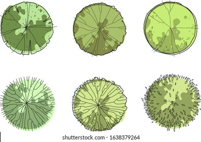 Detail Tree Top View Illustration Nomer 7