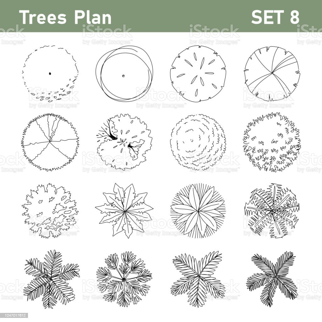 Detail Tree Top View Illustration Nomer 10