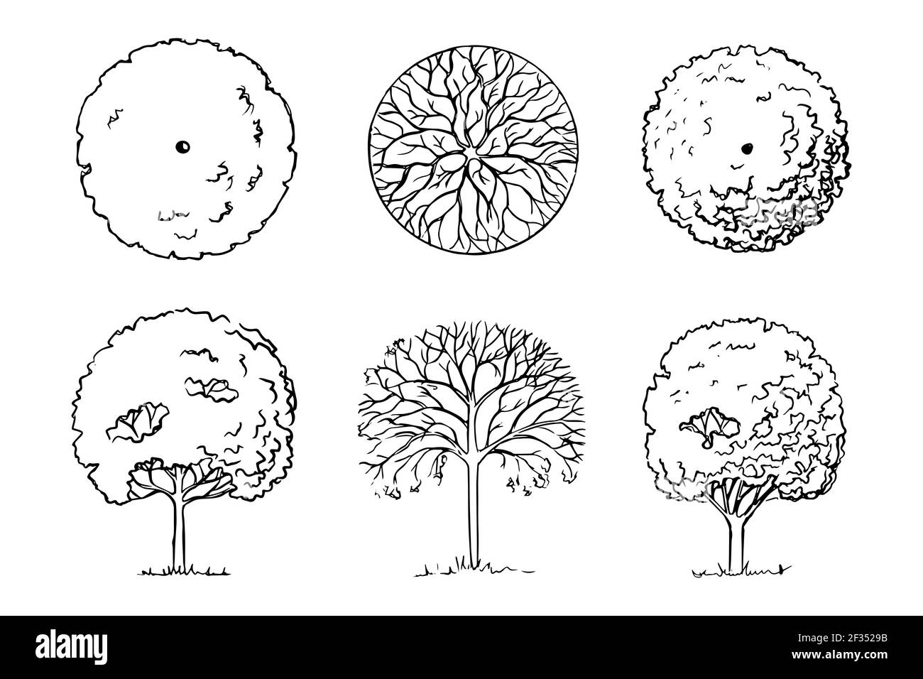 Detail Tree Top View Sketch Nomer 11