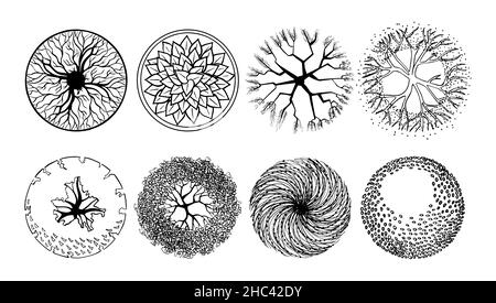 Detail Tree Top View Sketch Nomer 27