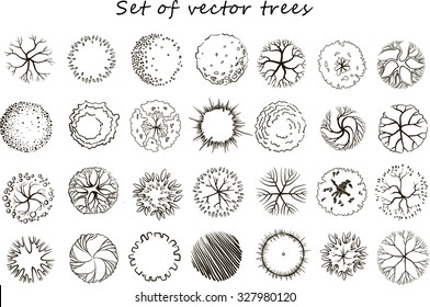 Detail Tree Top View Sketch Nomer 4