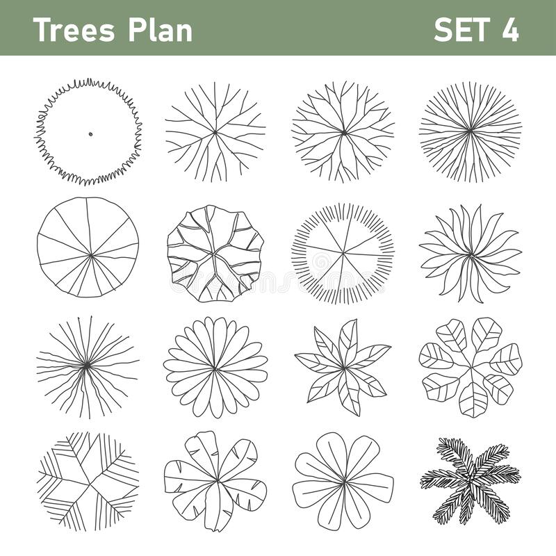 Detail Tree Top View Sketch Nomer 30