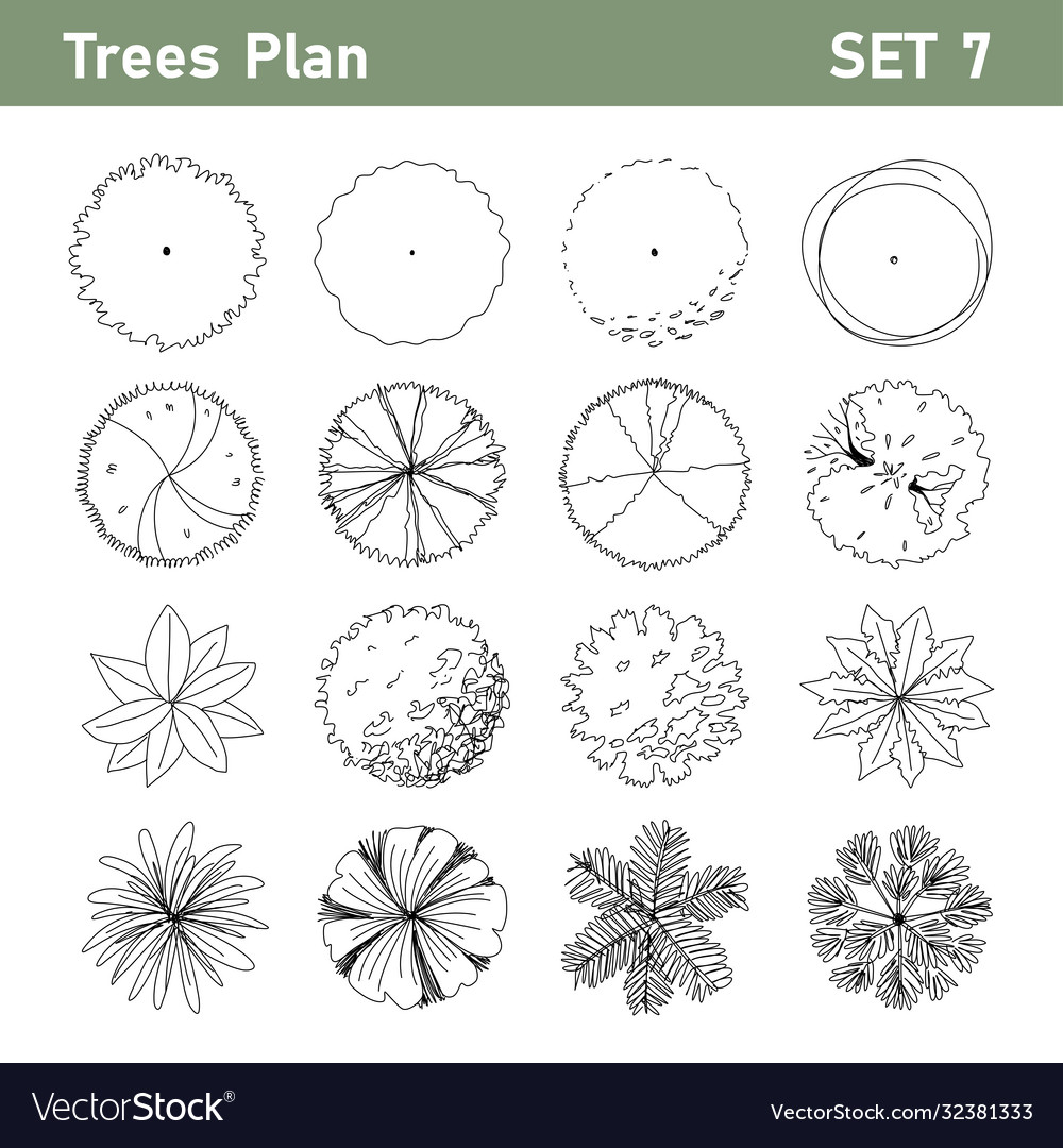 Detail Tree Top View Sketch Nomer 32