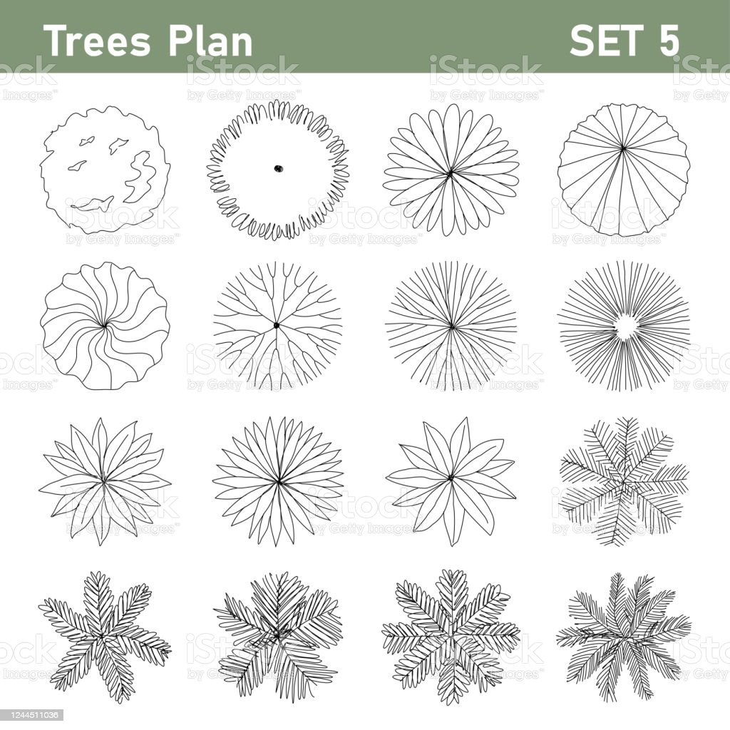 Detail Tree Top View Sketch Nomer 57