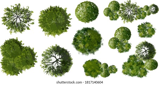 Detail Tree Top View Vector Png Nomer 14