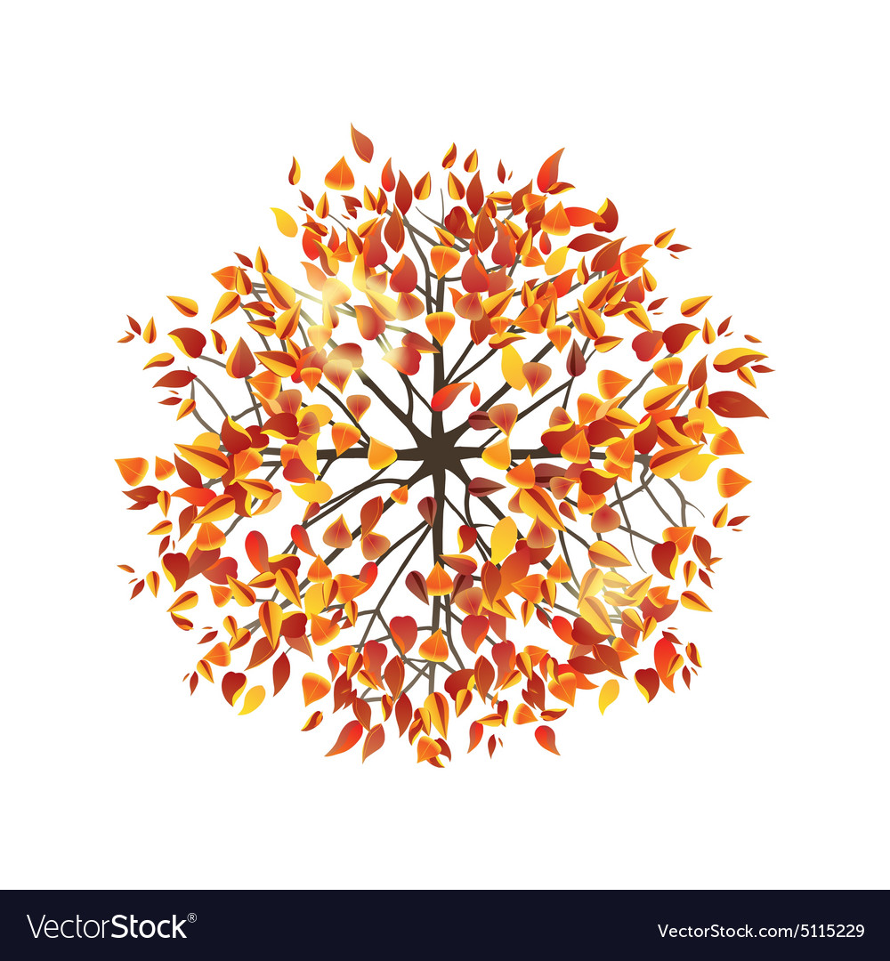 Detail Tree Top View Vector Png Nomer 23