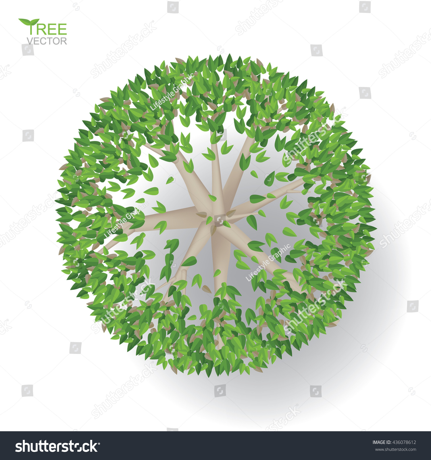 Detail Tree Top View Vector Png Nomer 28