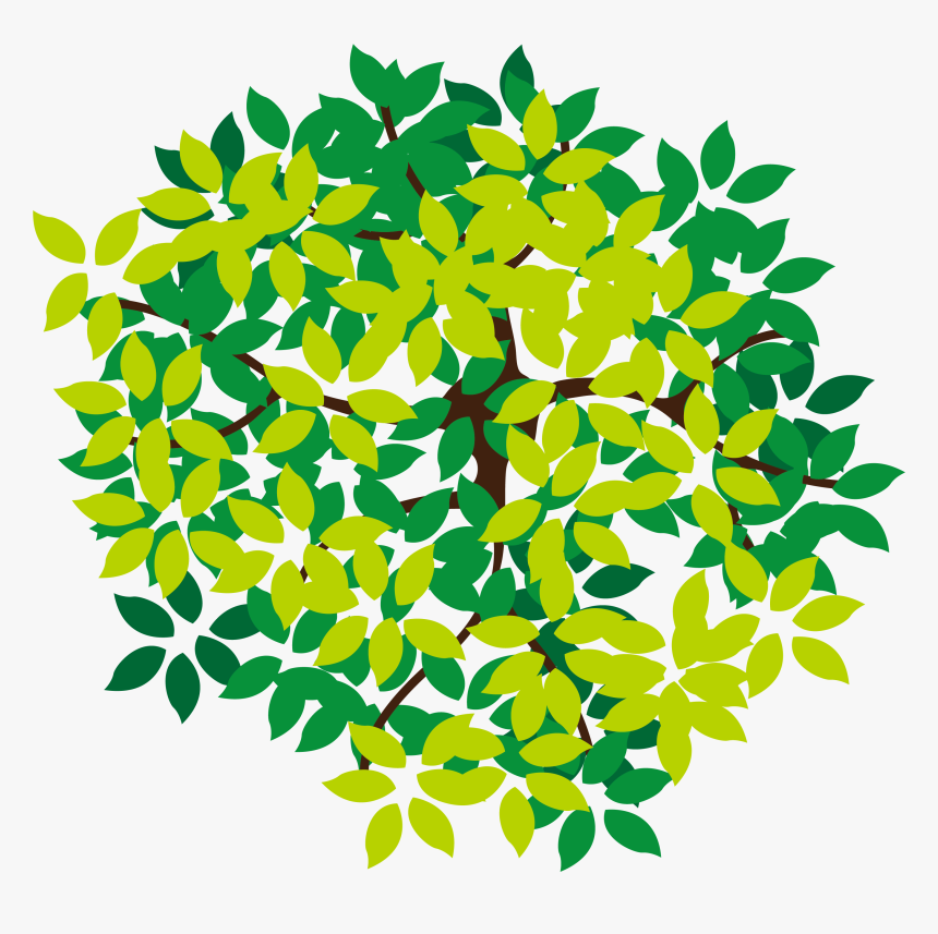 Detail Tree Top View Vector Png Nomer 31