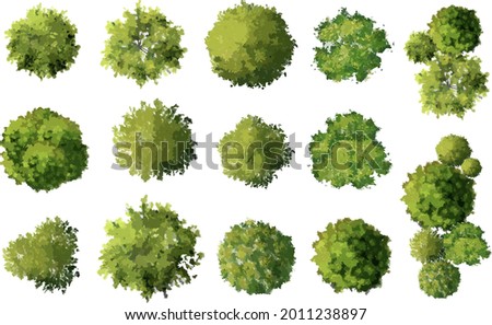 Detail Tree Top View Vector Png Nomer 38