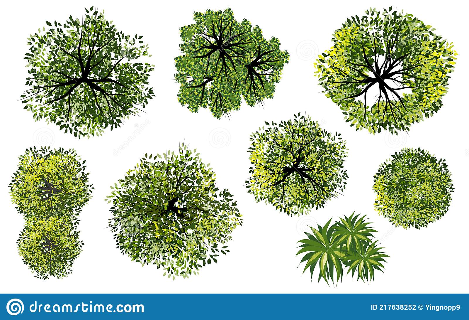 Detail Tree Top View Vector Png Nomer 42