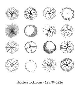 Detail Tree Top View Vector Png Nomer 43