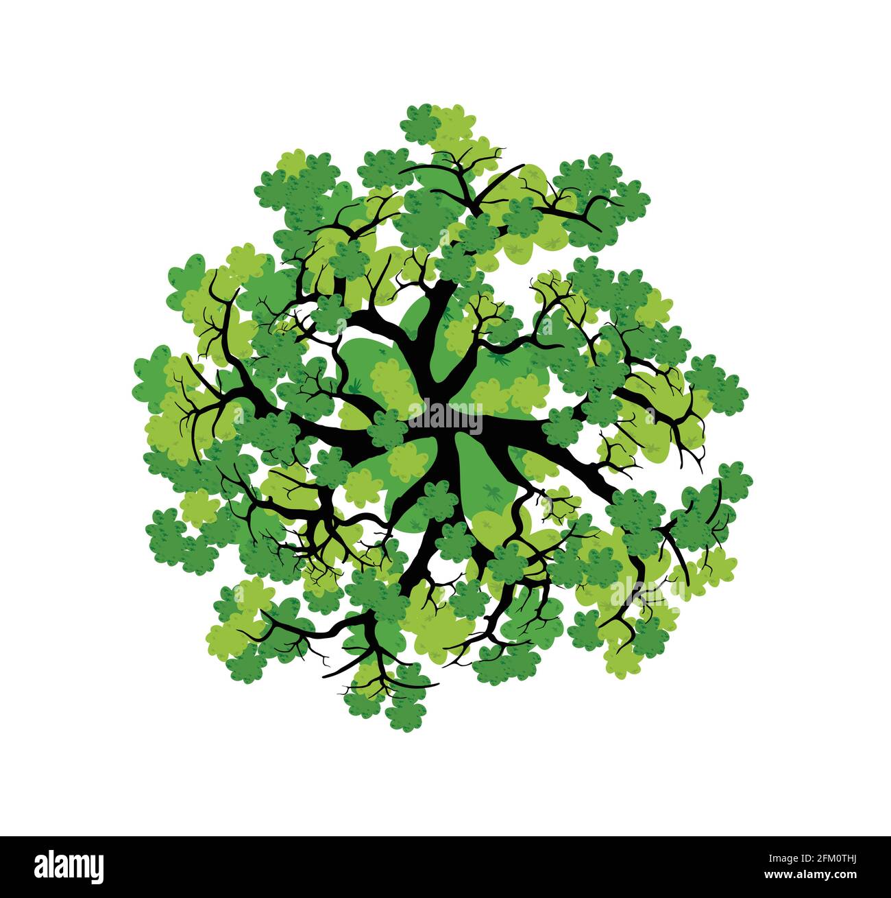 Detail Tree Top View Vector Png Nomer 44