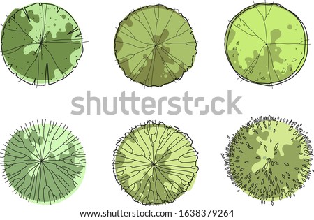 Detail Tree Top View Vector Png Nomer 46