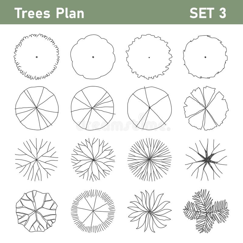 Detail Tree Top View Vector Png Nomer 53