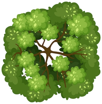 Detail Tree Top View Vector Png Nomer 8