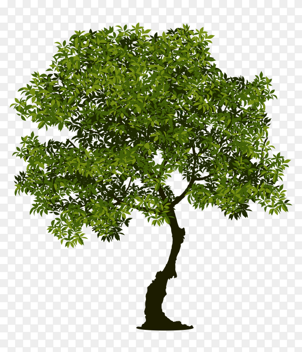 Detail Tree Transparent Nomer 25
