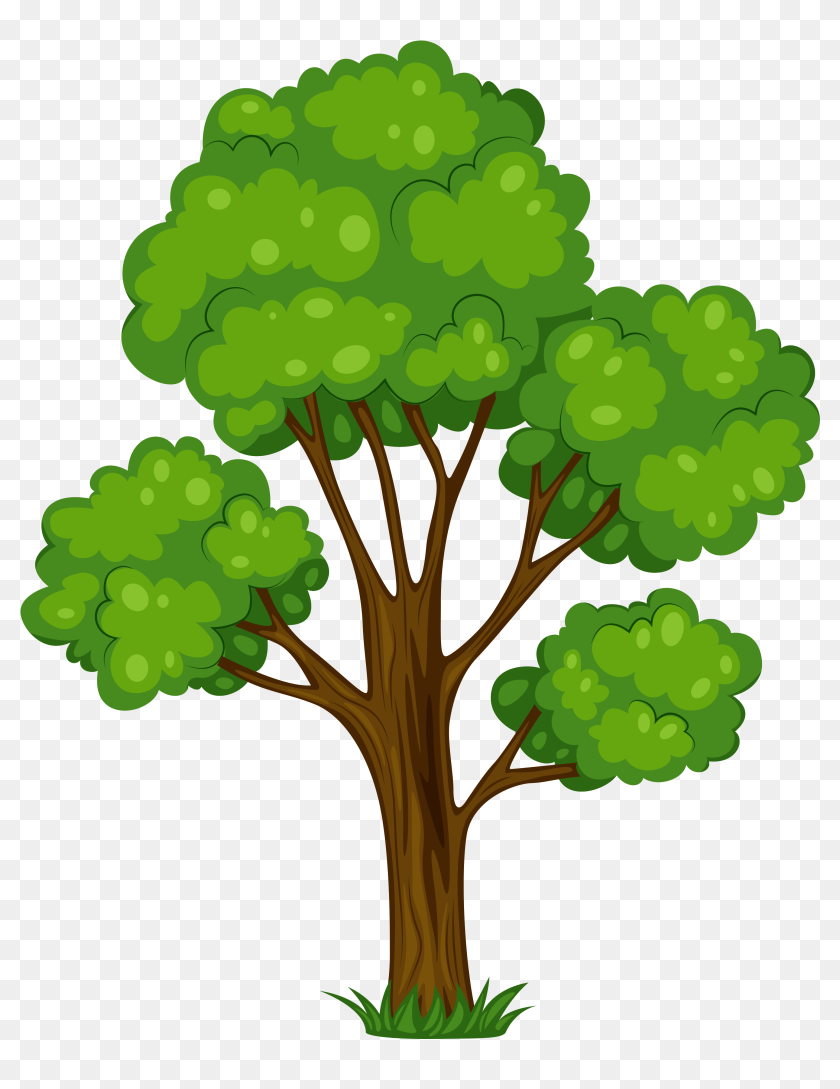 Detail Tree Transparent Nomer 37