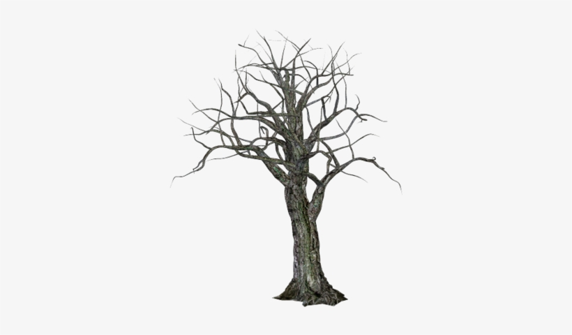 Detail Tree Transparent Nomer 46