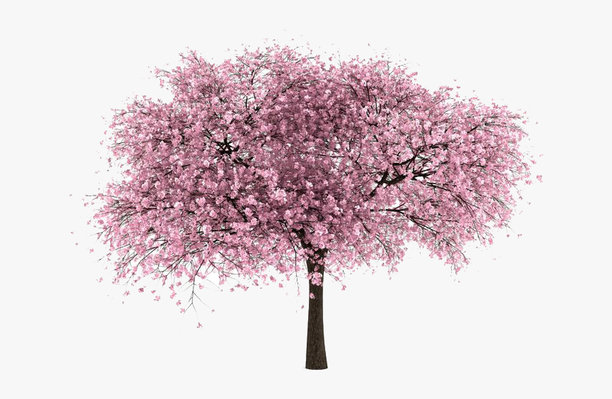 Detail Tree Transparent Nomer 48