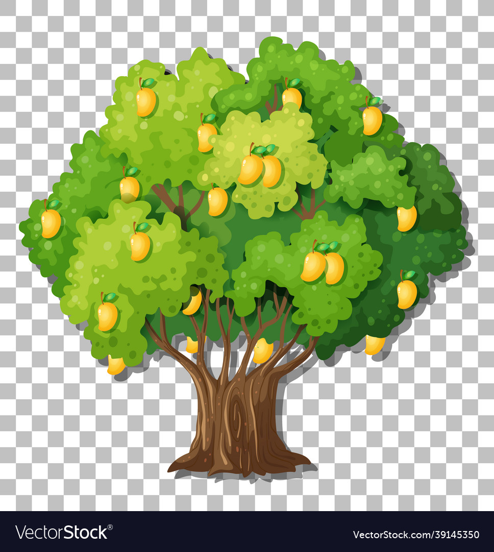 Detail Tree Transparent Background Nomer 26
