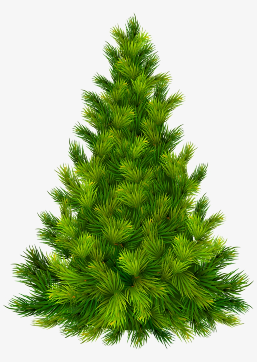 Detail Tree Transparent Background Nomer 35
