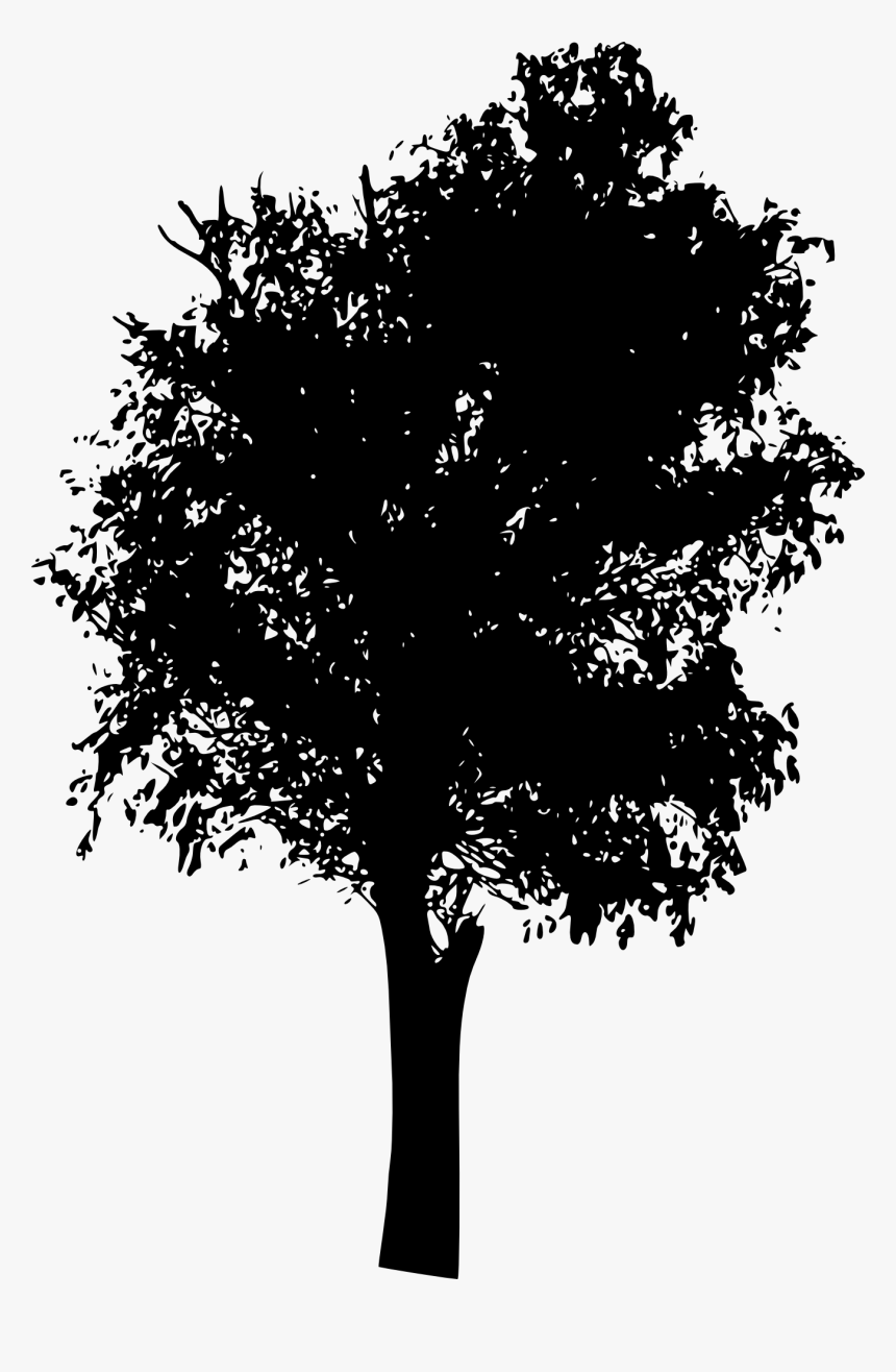 Detail Tree Transparent Background Nomer 41
