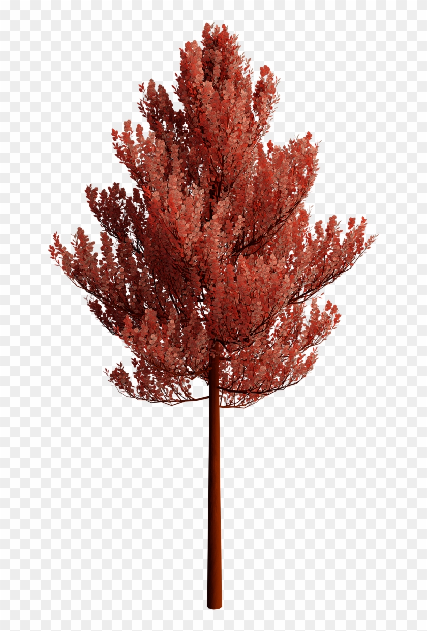 Detail Tree Transparent Background Nomer 51