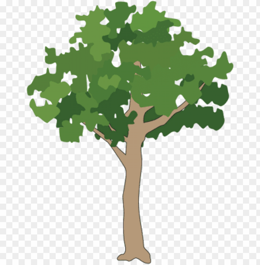 Detail Tree Vector Png Nomer 13