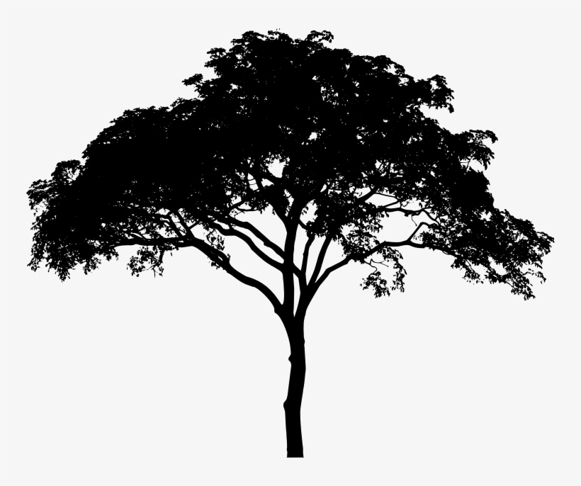 Detail Tree Vector Png Nomer 35