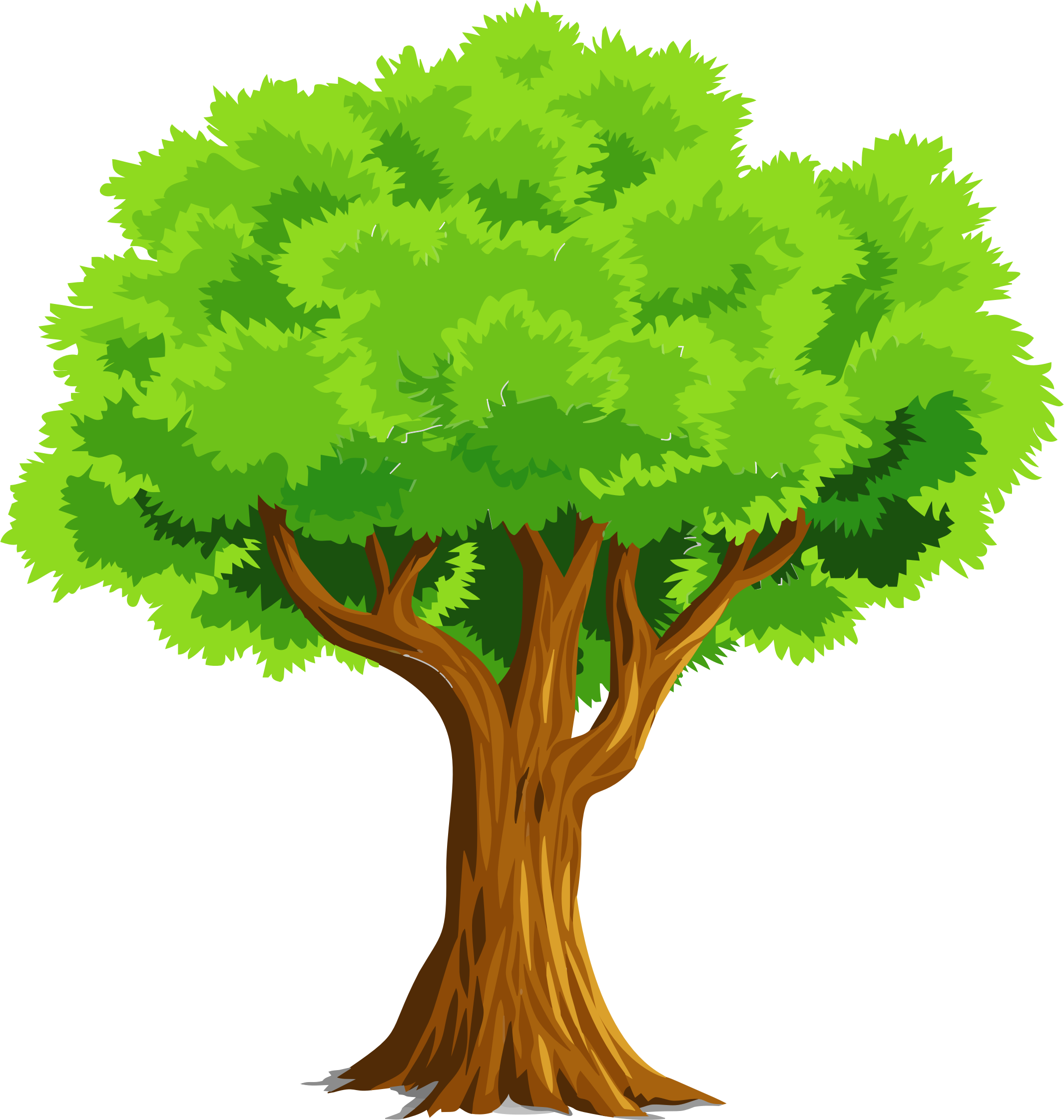 Detail Tree Vector Png Nomer 4