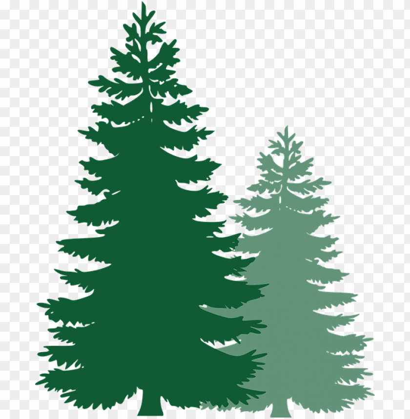 Detail Tree Vector Png Nomer 37