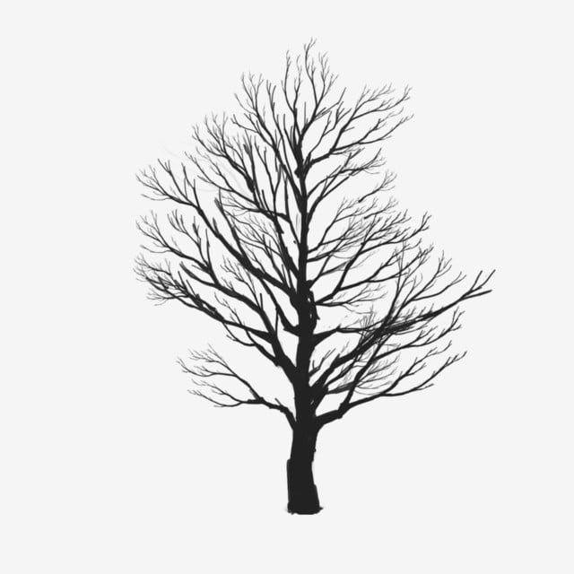 Detail Tree Vector Png Nomer 50