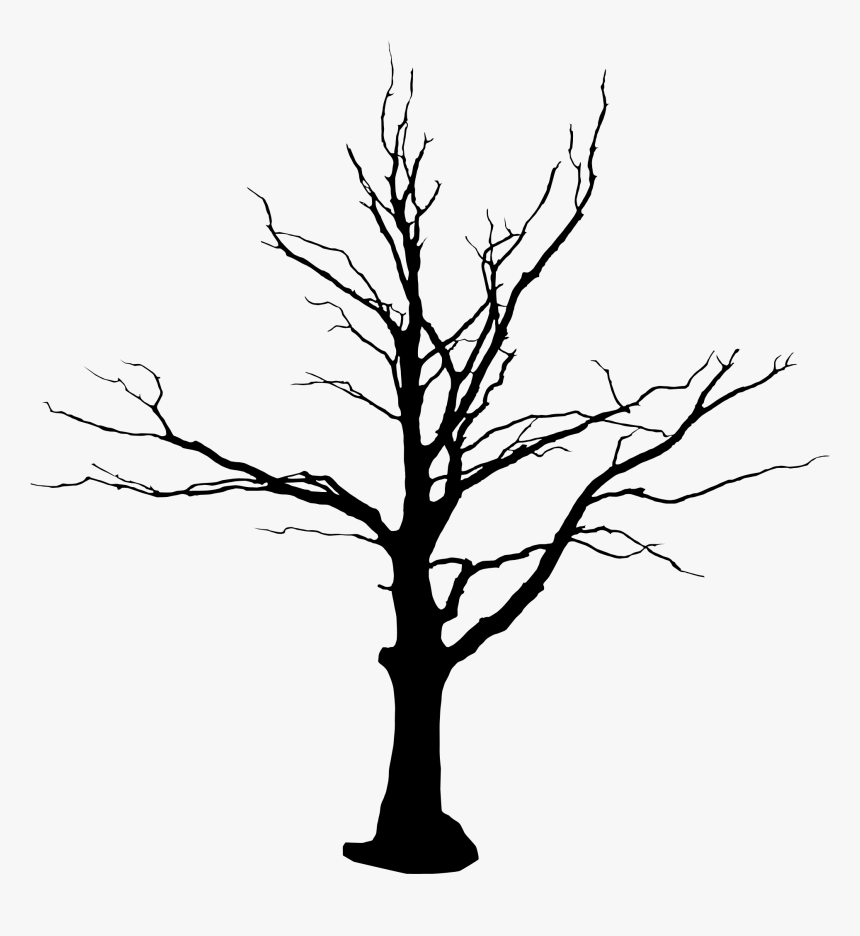 Detail Tree Vector Png Nomer 53