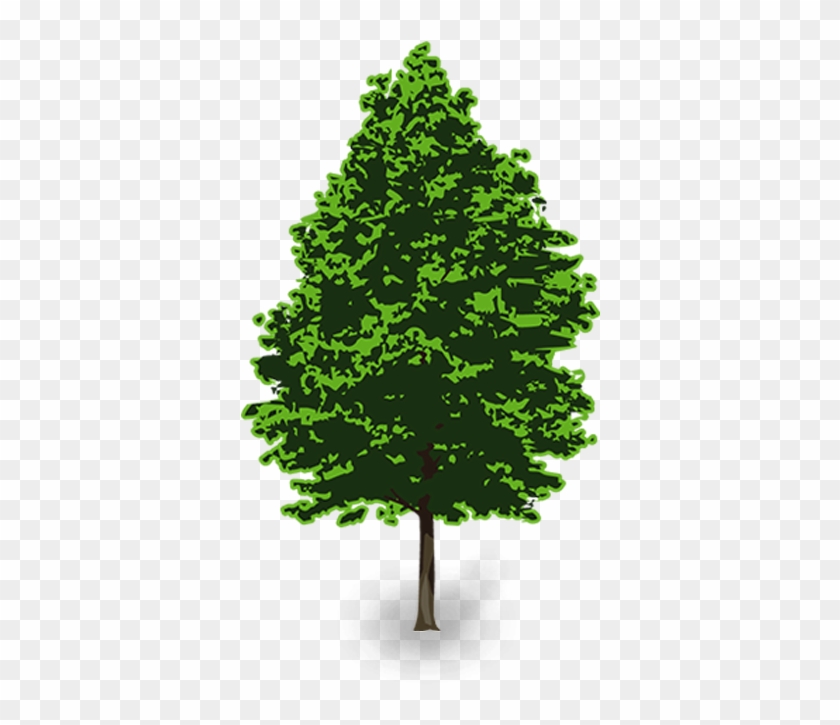 Detail Tree Vector Transparent Background Nomer 11