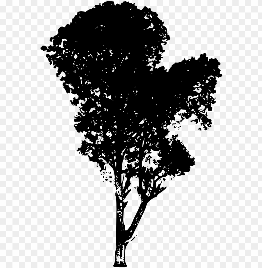 Detail Tree Vector Transparent Background Nomer 13