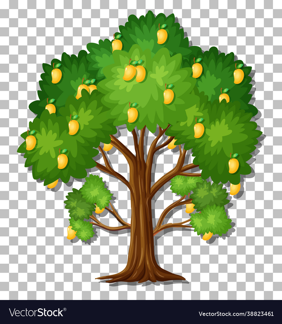 Detail Tree Vector Transparent Background Nomer 14