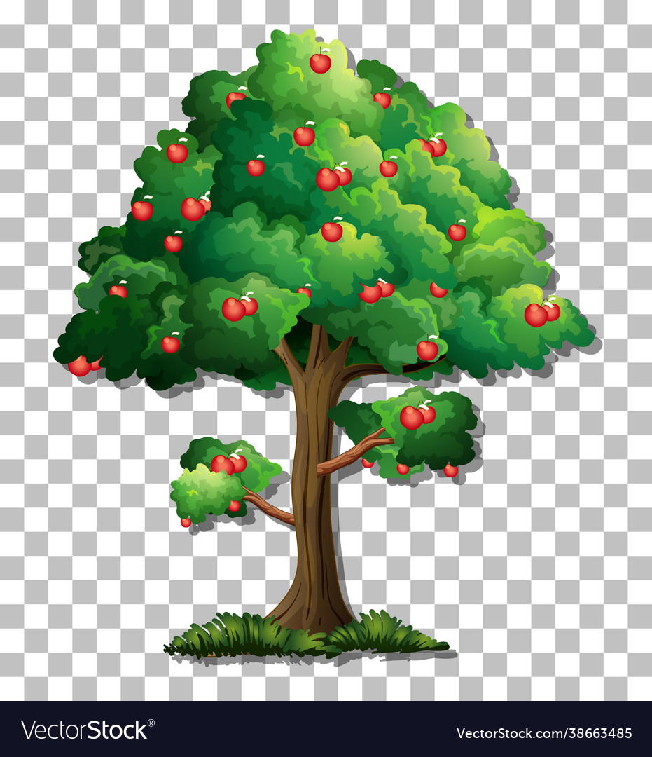 Detail Tree Vector Transparent Background Nomer 15