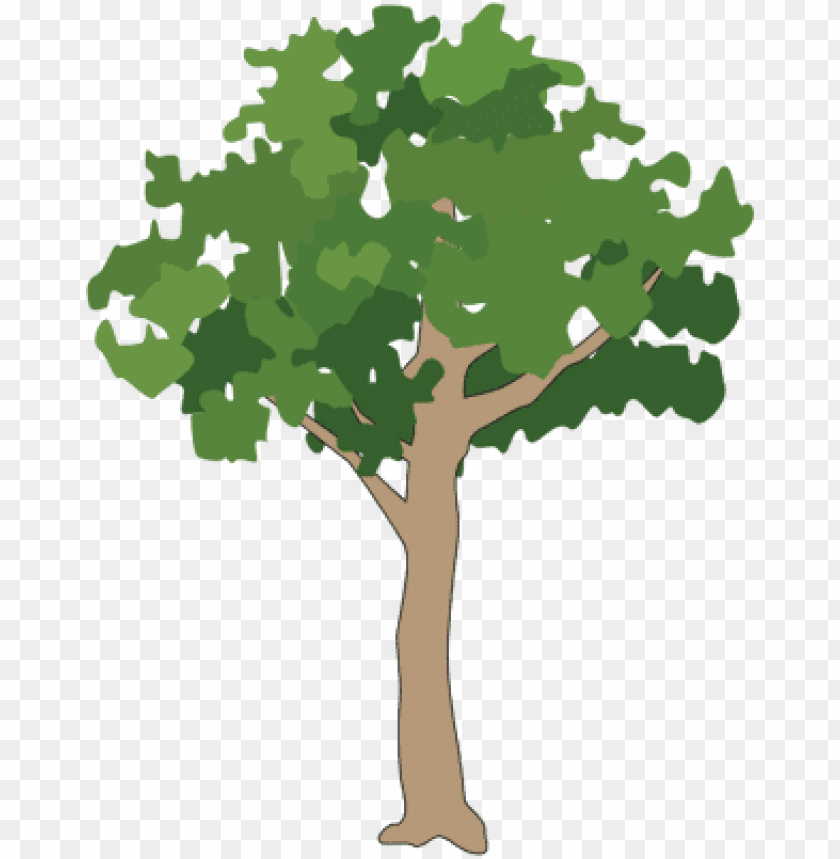 Detail Tree Vector Transparent Background Nomer 3