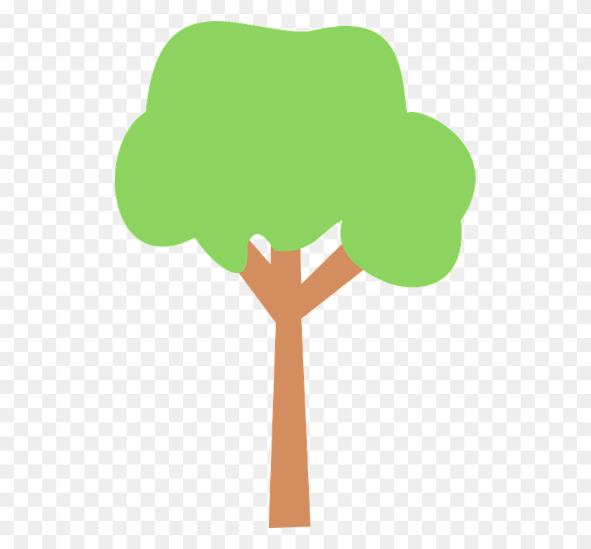 Detail Tree Vector Transparent Background Nomer 18