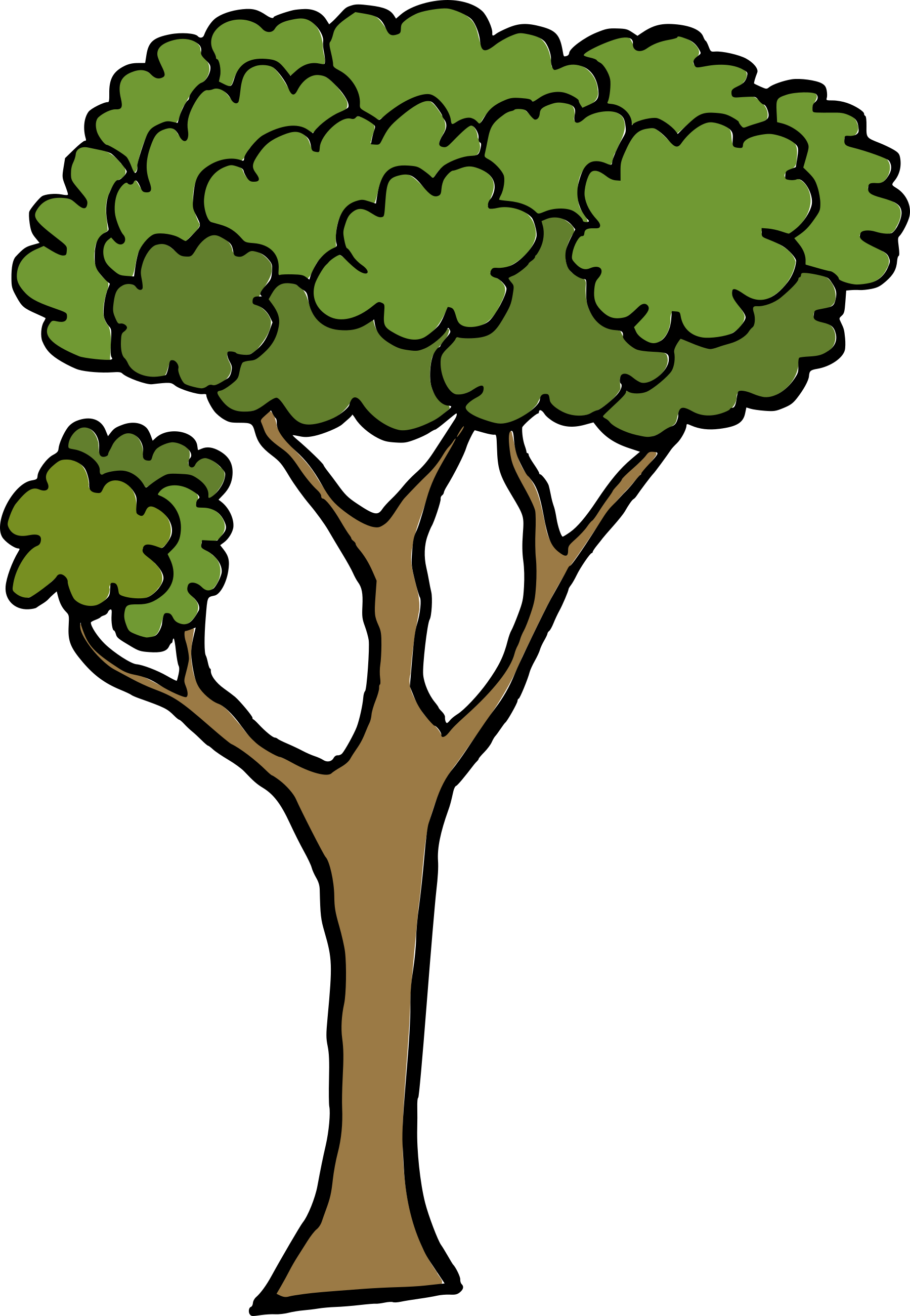 Detail Tree Vector Transparent Background Nomer 20