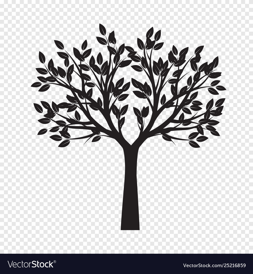 Detail Tree Vector Transparent Background Nomer 4