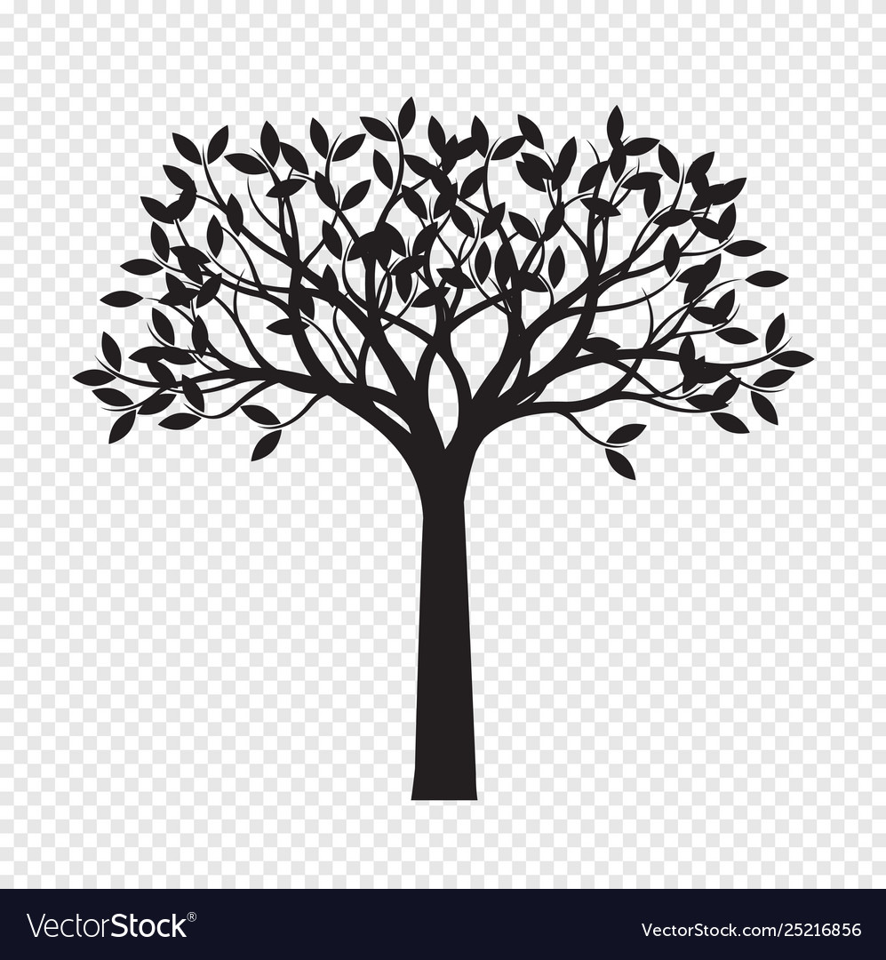 Detail Tree Vector Transparent Background Nomer 26