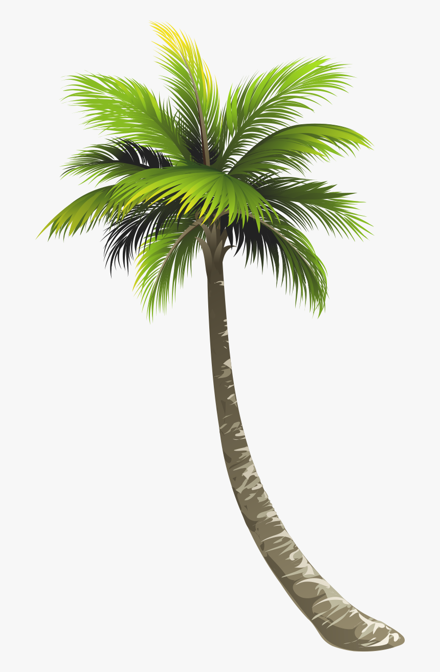 Detail Tree Vector Transparent Background Nomer 27